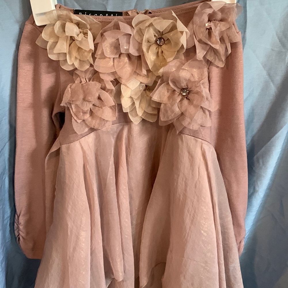 Little girl toddler dress. Pre owned and perfect for any special occasion